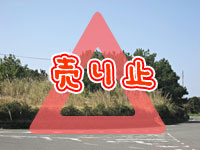 ＮＴ－１３２